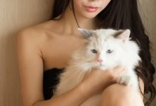 [BoLoLi波萝社] 2015.07.11 Vol.040 Suki朱忆音 [54+1P]-美图岛