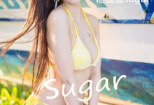 [LeYuan星乐园] 2017.03.21 VOL.032 杨晨晨sugar [59+1P]-美图岛