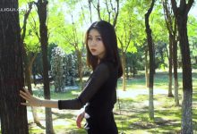 [Ligui丽柜]HD视频 2019.11.05 野外遇矫丝 虫虫[1V／299MB]-美图岛