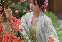 兔子Zzz不吃胡萝卜 - NO.73 宫墙柳 [43P-445MB]-美图岛