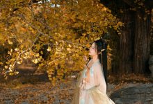 [YITUYU艺图语]2022.12.12 银杏树下 旺旺小小舒[38+1P／467MB]-美图岛