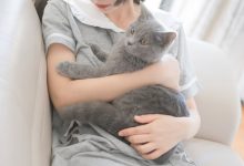 [轻兰映画]SPL.014[110P／875MB]-美图岛