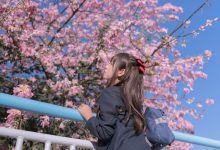 萌芽儿 - NO.26 异木棉花 [27P-436MB]-美图岛