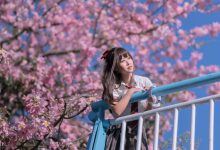 [YITUYU艺图语]2023.02.19 异木棉花 萌芽儿o0[27+1P／442MB]-美图岛