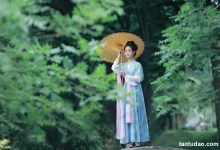 [YITUYU艺图语]2023.03.10 如梦  洛一[23+1P／293MB]-美图岛