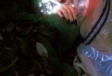 [YITUYU艺图语]2023.03.12 寻梦记·彼时蝶 阿了个戚[22+1P／406MB]-美图岛