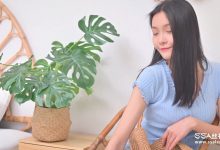 [SSA丝社]短片 NO.0164 君君 浪莎肤色丝袜[1V／525MB]-美图岛